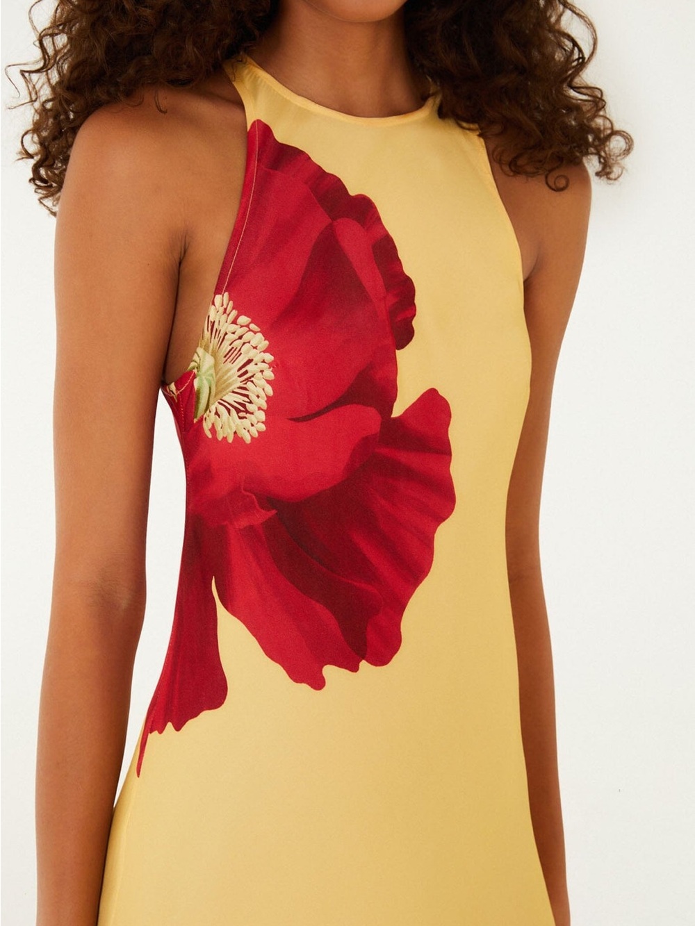 Farm Rio Poppy Flowers Maxi Dress - Picture 2 of 9
